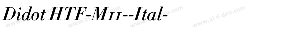 Didot HTF-M11--Ital字体转换